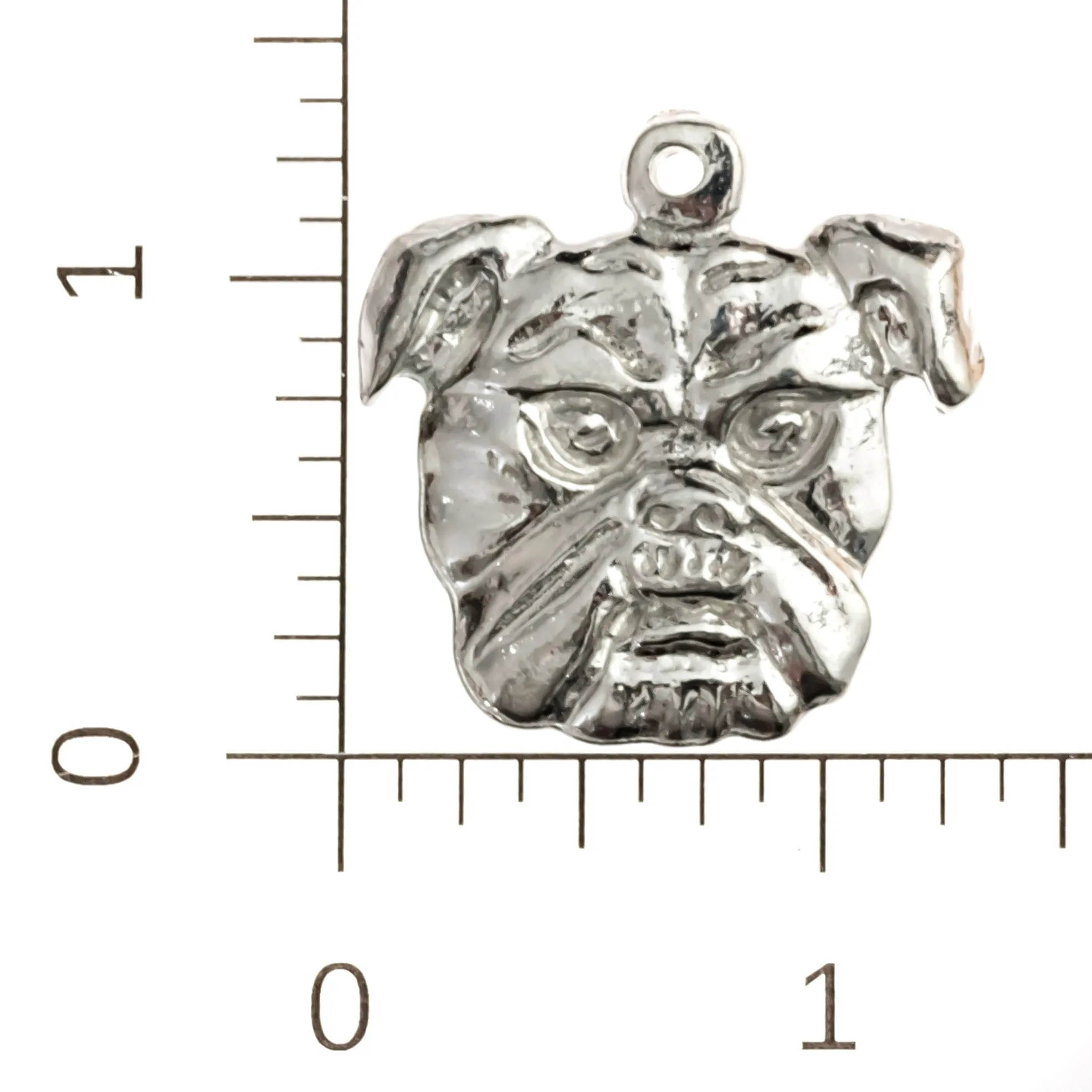 School Mascot Gifts - Wildcats - Tigers - Cougars - Bulldogs - Lions - Team Spirit
